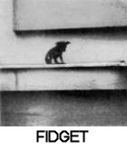 Fidget