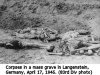 Corpses in mass grave at Langenstein, 17 Apr 45